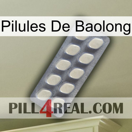 Baolong Pills 08